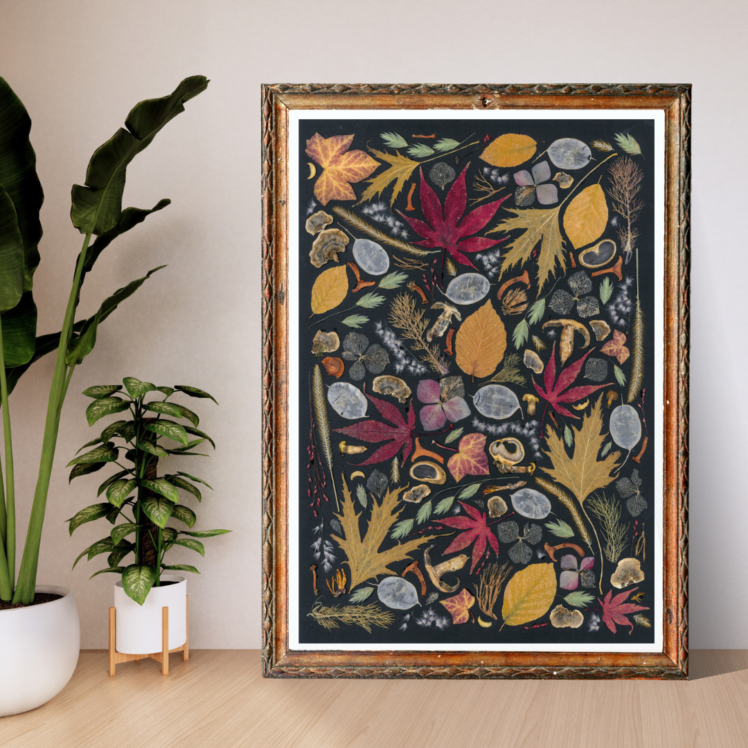 Dutch Autumn Flower poster