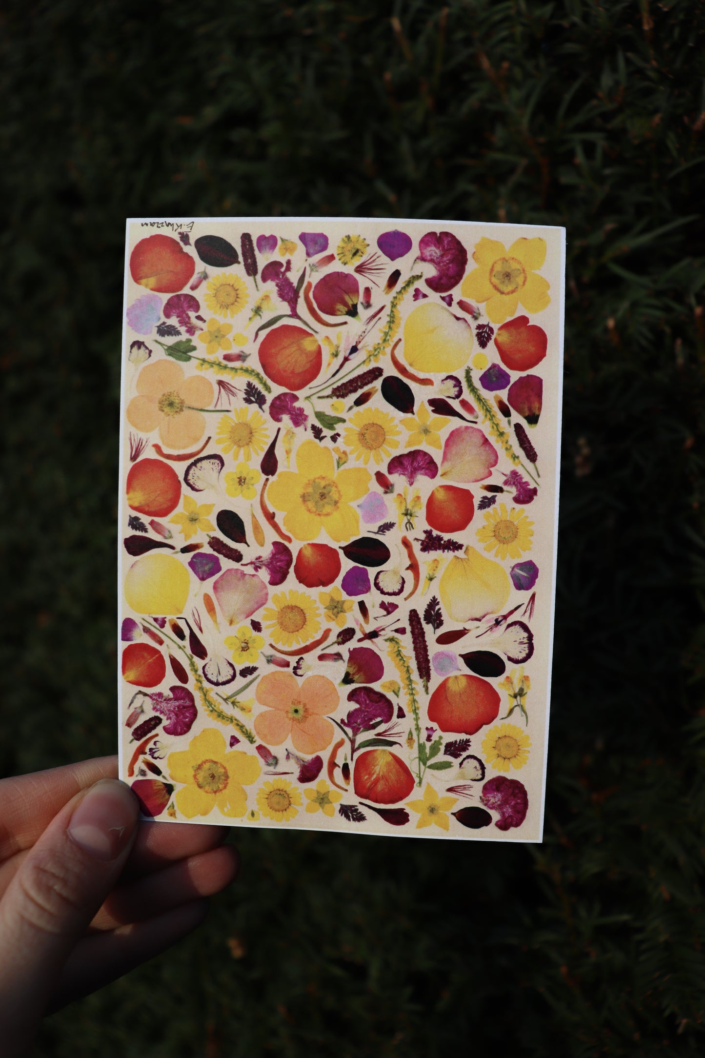Flower cards
