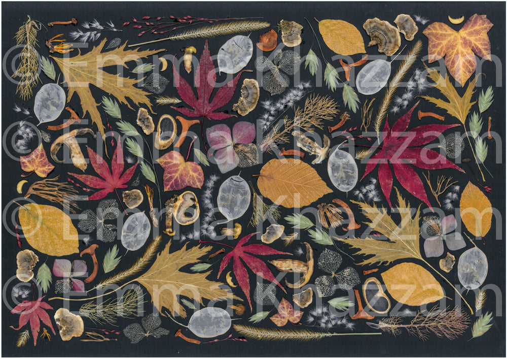 Dutch Autumn Flower poster