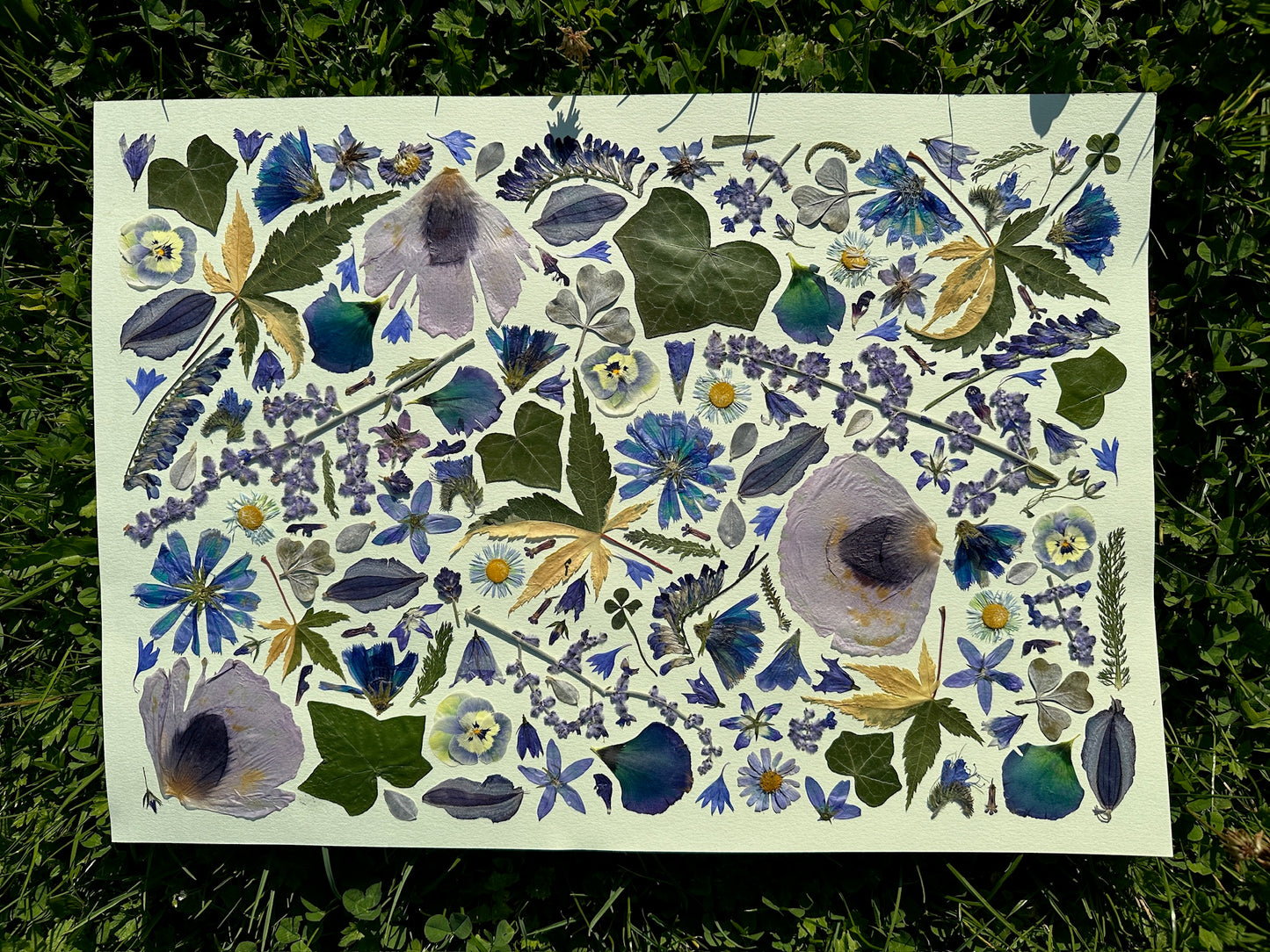 Forest Floor Flower poster