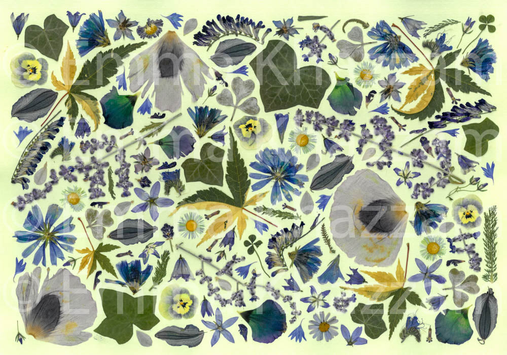 Forest Floor Flower poster