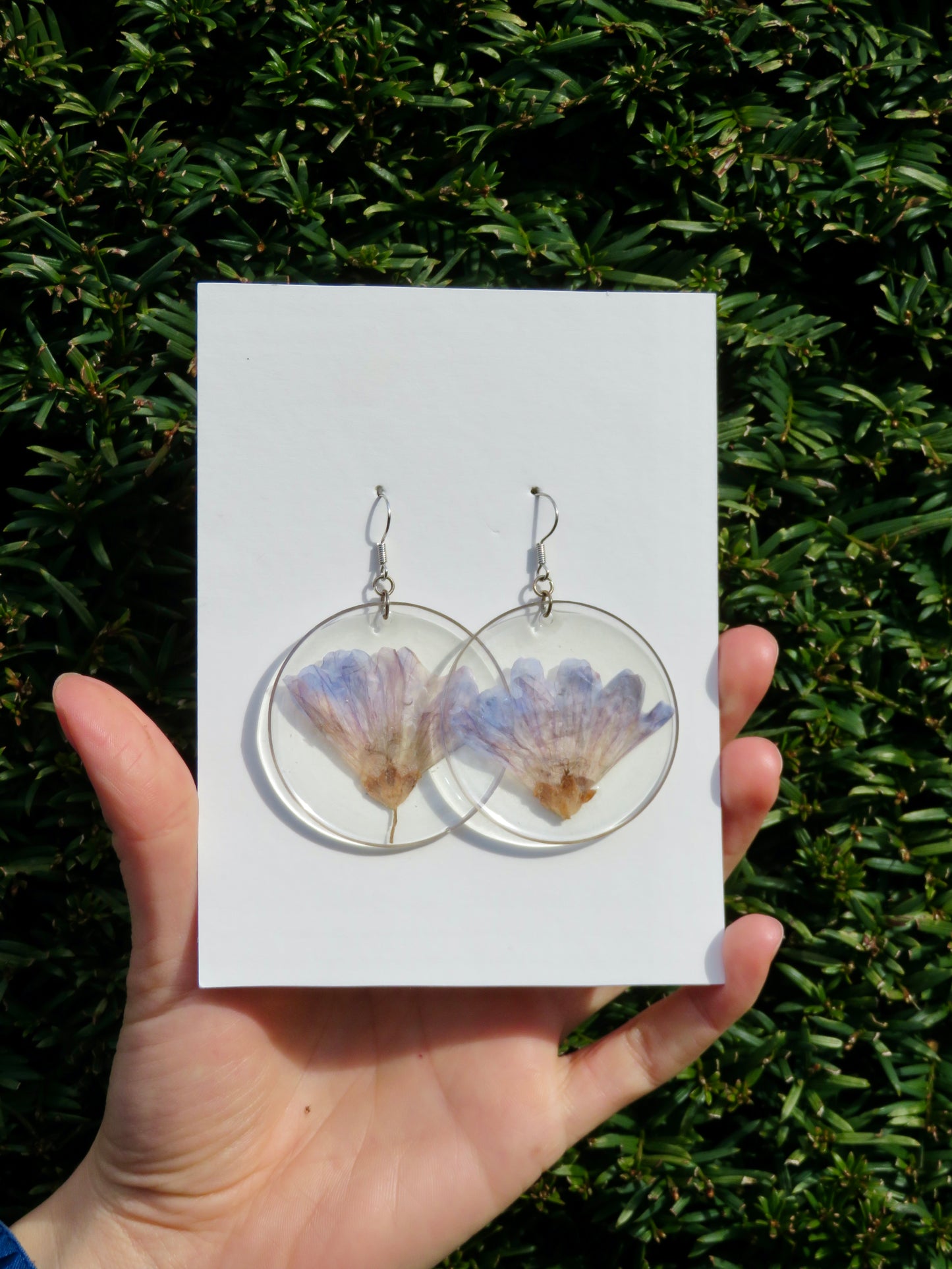 Chicory earrings