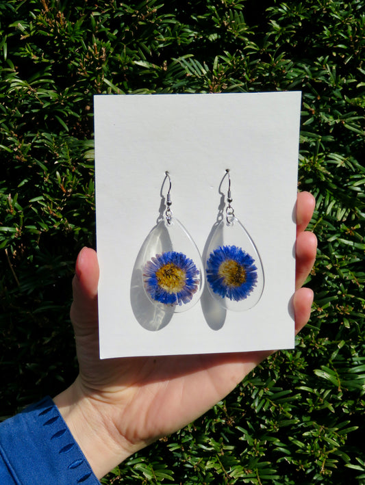 Blue daisy earrings