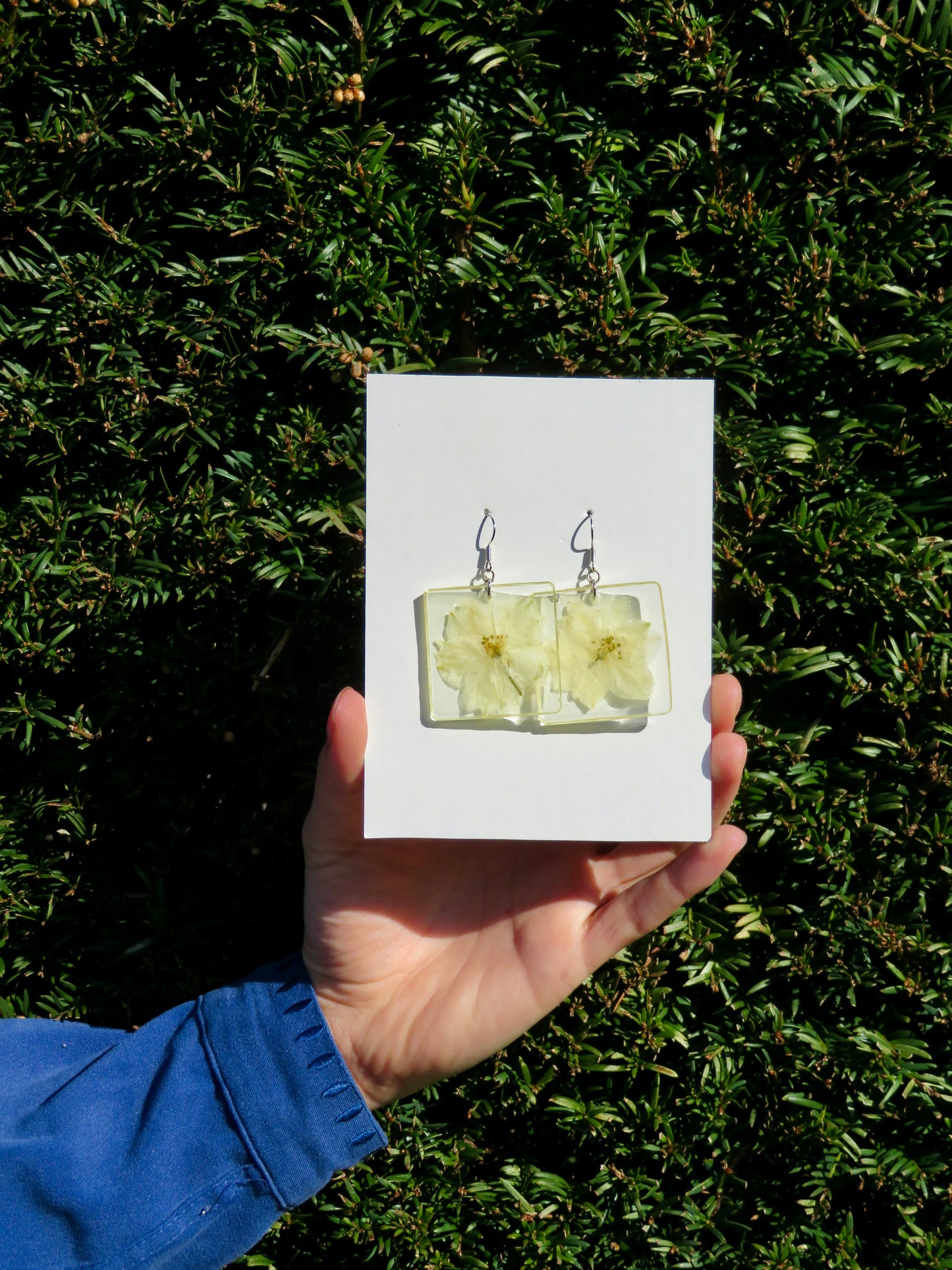 White delphinium (large) earrings