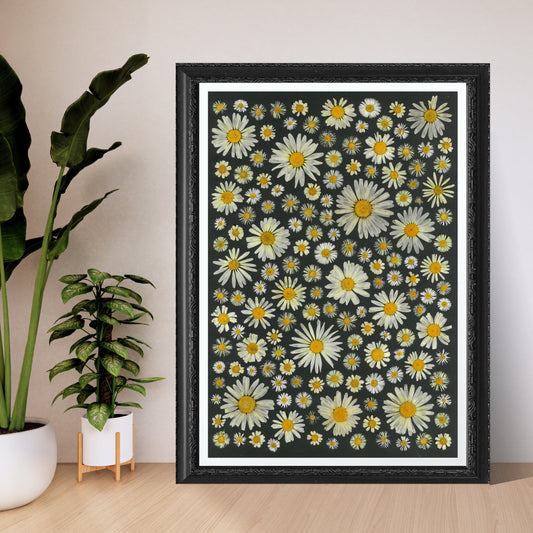 Daisy Dream Flower poster