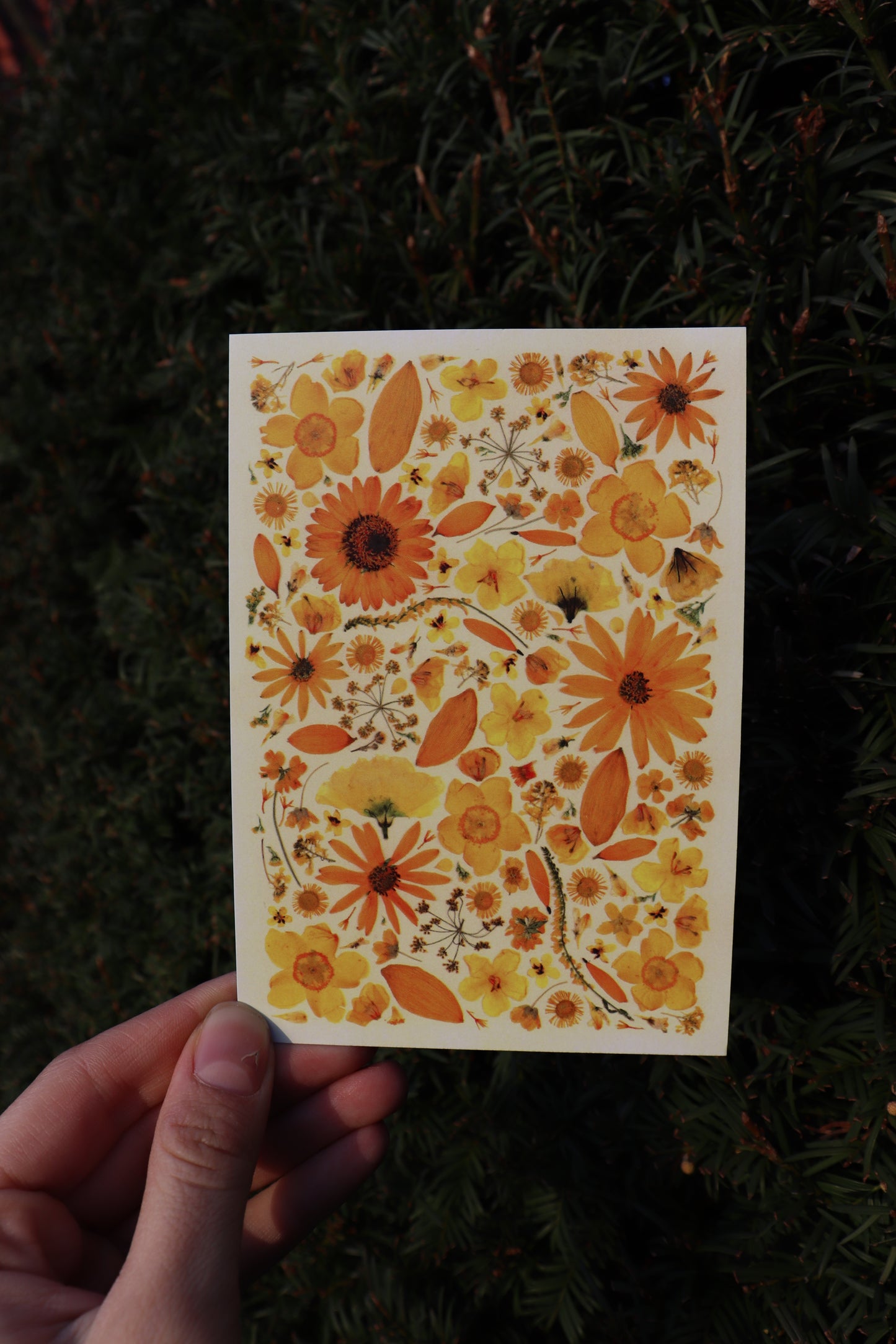 Flower cards