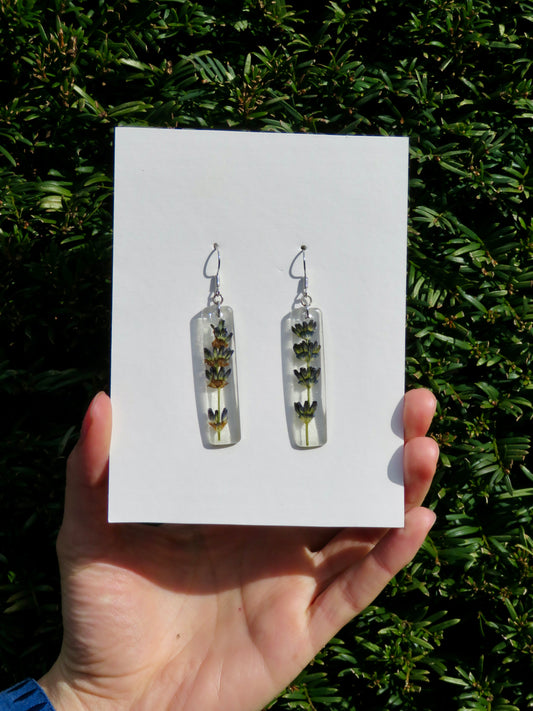 Lavender earrings