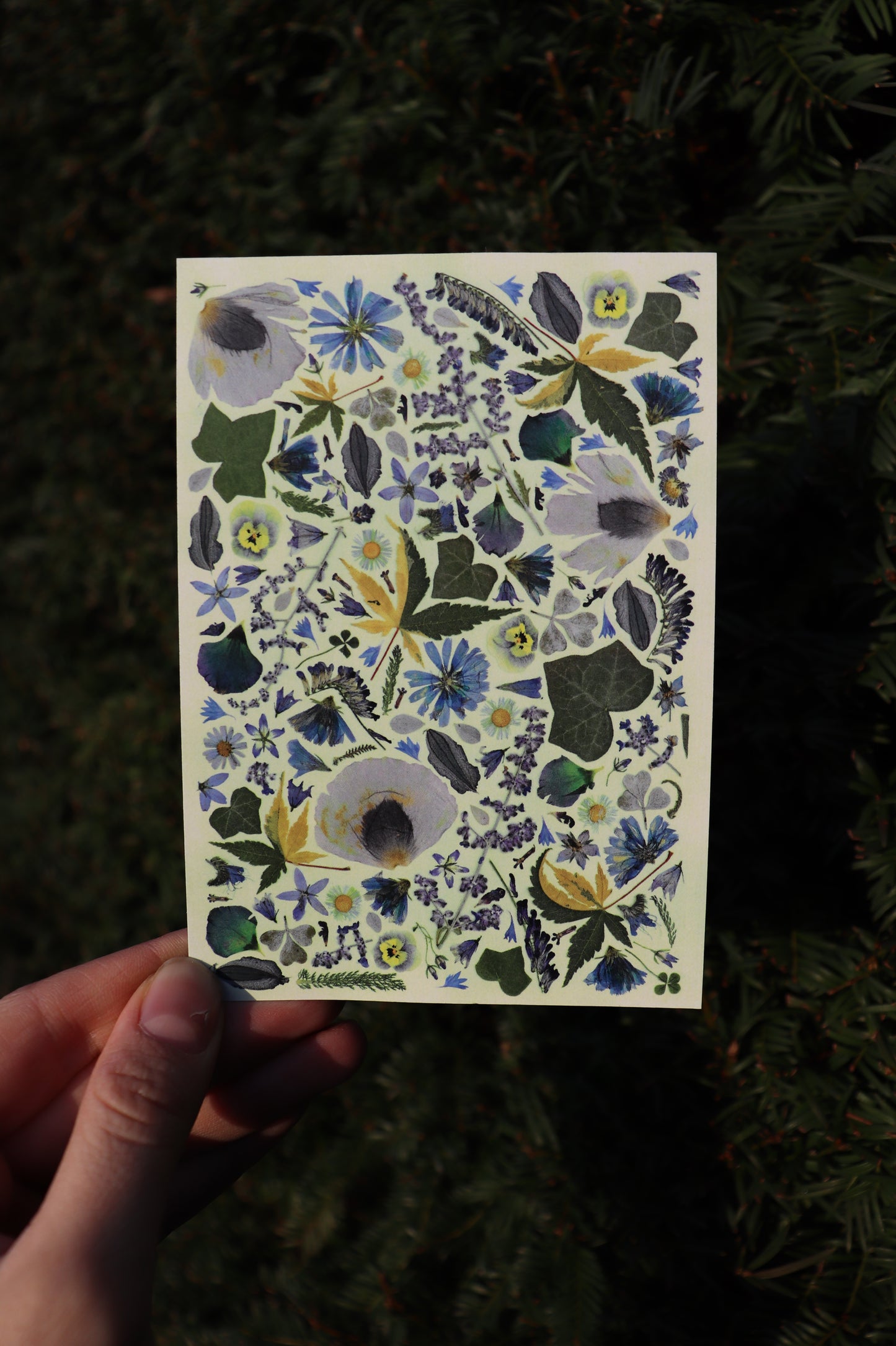 Flower cards