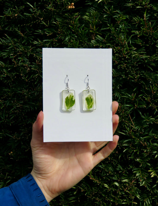 Cornus leaf earrings