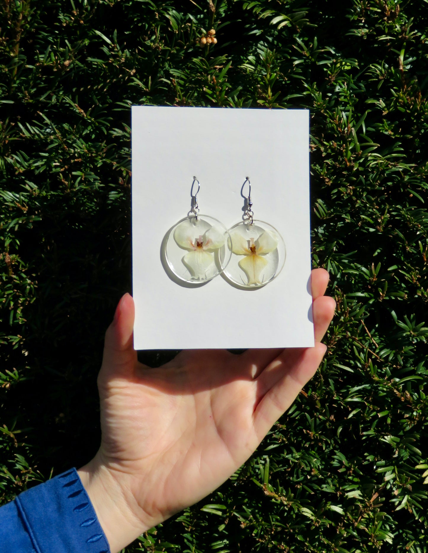 Orchid earrings