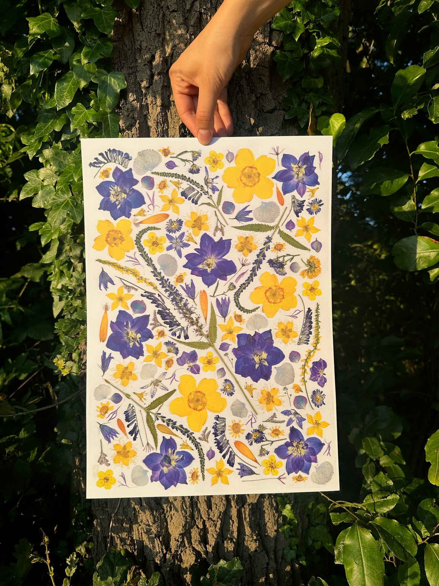 Golden and Azure Flower poster